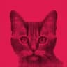Binary Cat